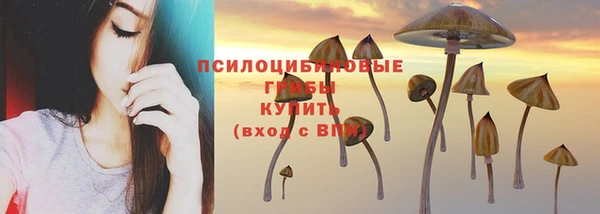 дмт Медвежьегорск