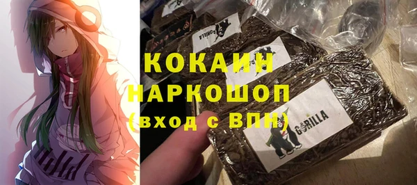 мдпв Михайловск