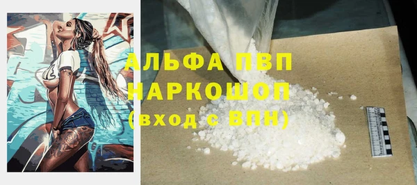 прущие грибы Мегион