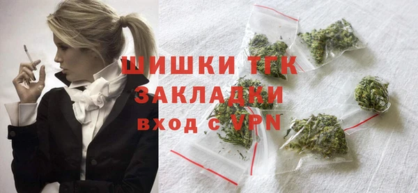 прущие грибы Мегион