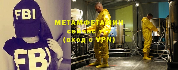 прущие грибы Мегион