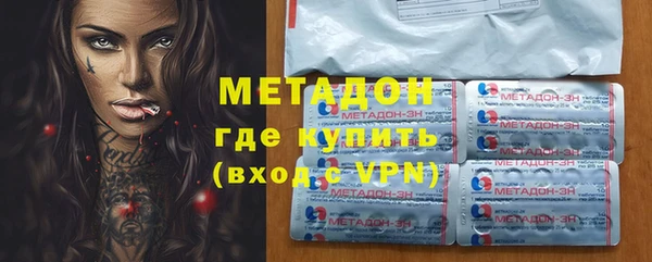прущие грибы Мегион