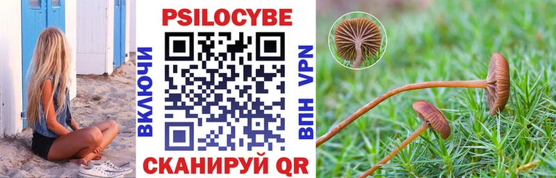 Галлюциногенные грибы ЛСД наркотики Тайга